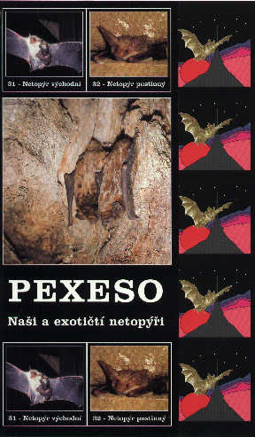Ukzky pexesoa - Nai a exotit netopi